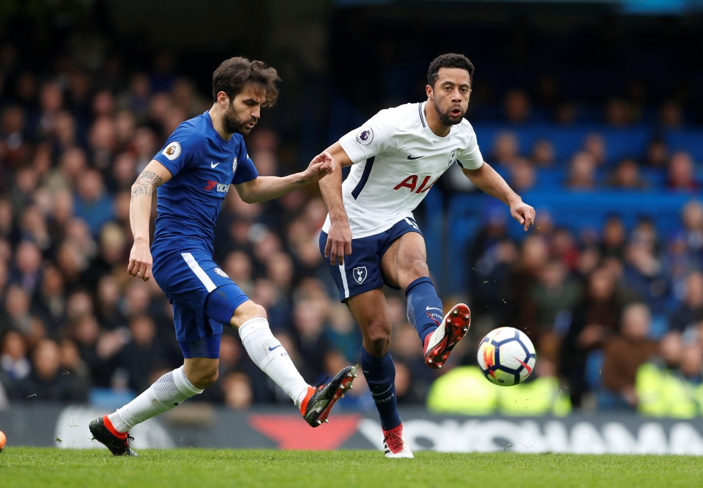 Tottenham have everything to lose says Fabregas