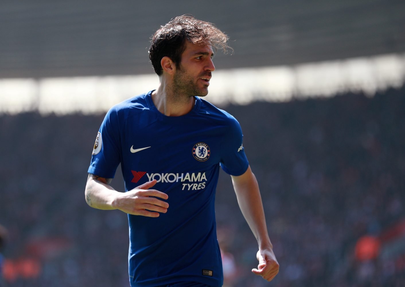 Fabregas urges the Blues to bounce back