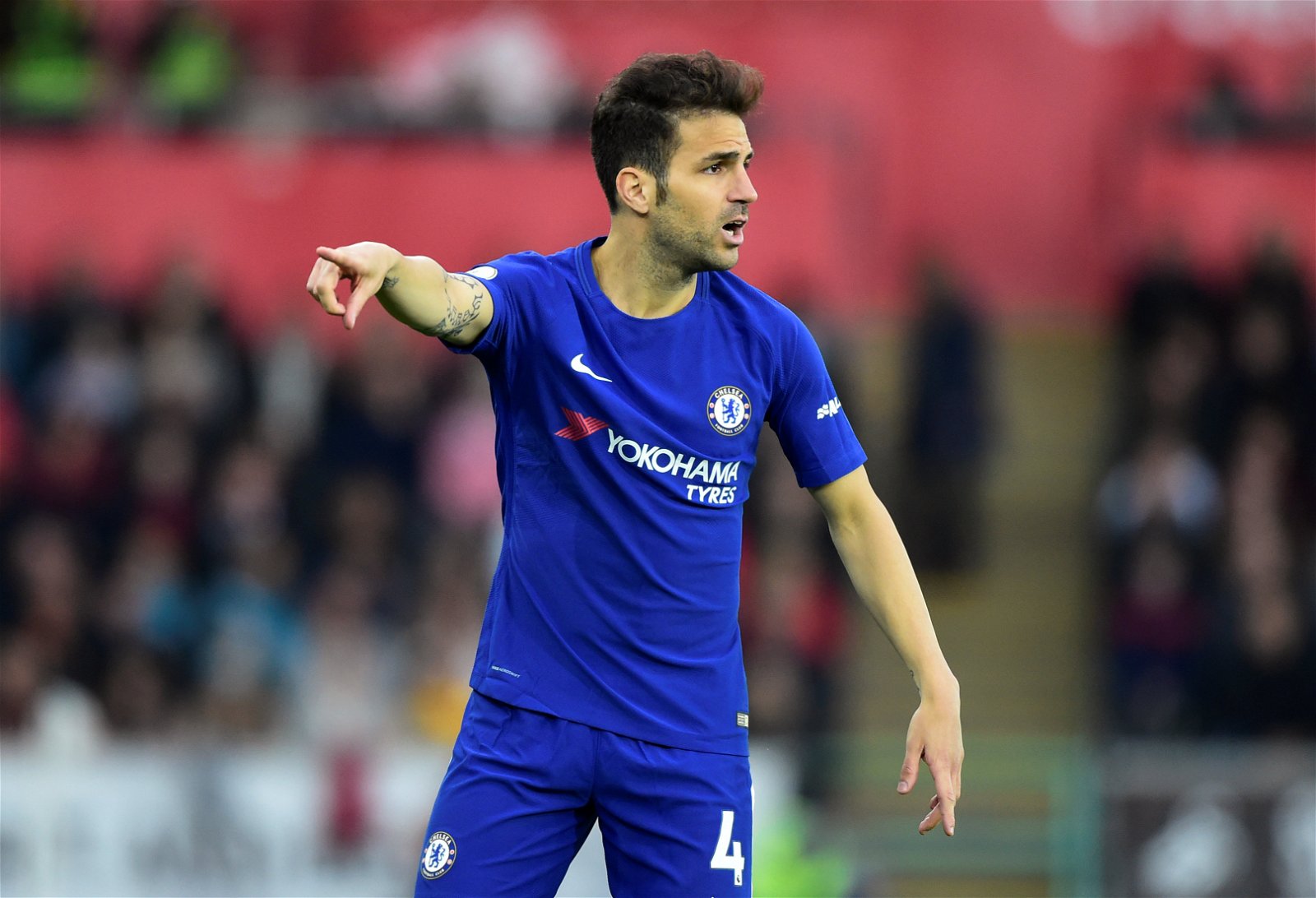 Players who have played for Chelsea and Barcelona Cesc Fabregas