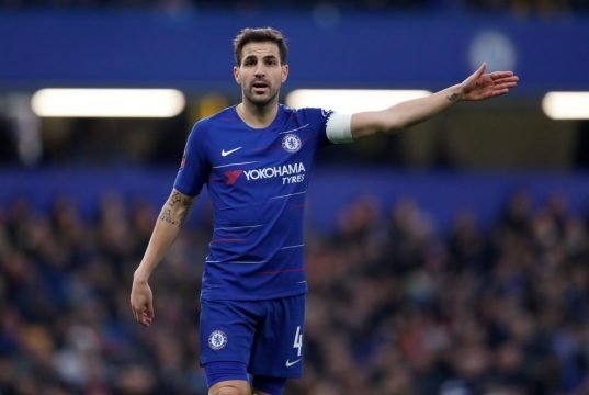 Fabregas believes new partnership in the squad will transform Chelsea