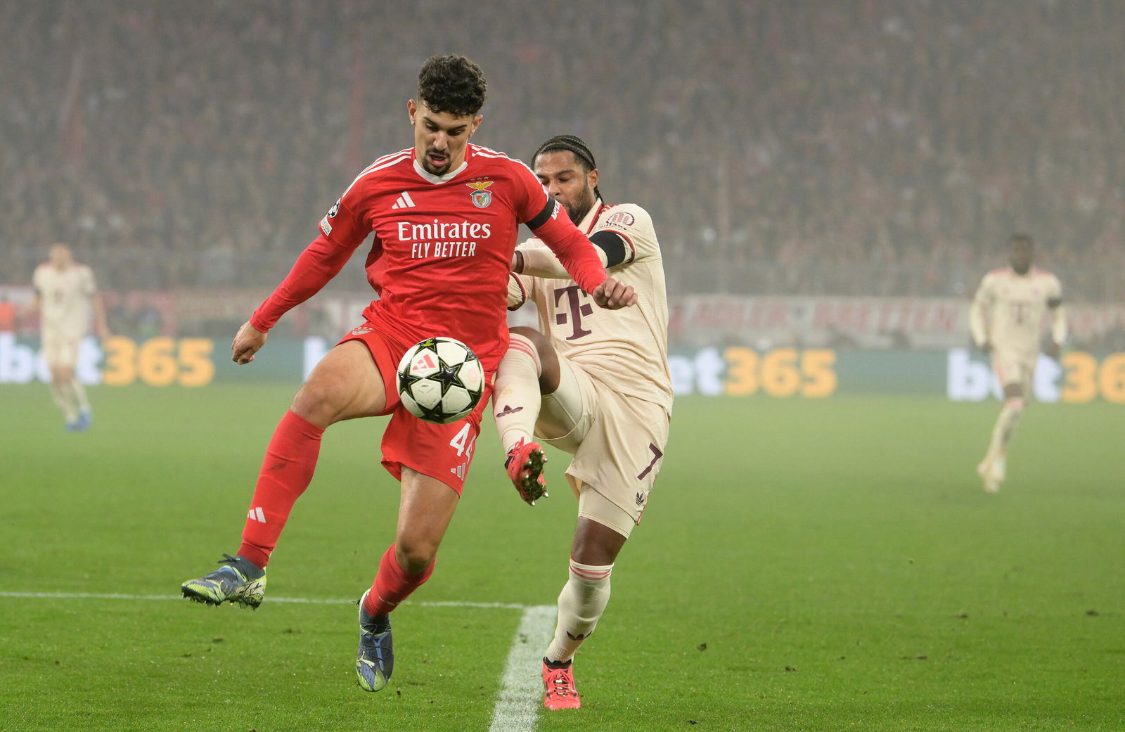 Tomas Araujo: Chelsea Defender Targets